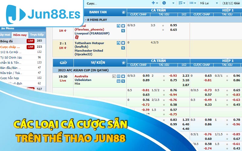 Các loại cá cược sẵn trên thể thao Jun88